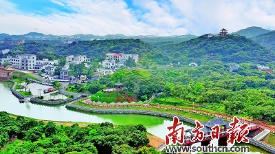 荔枝生产与乡村旅游结合打造的甜美荔乡高州市根子元坝村