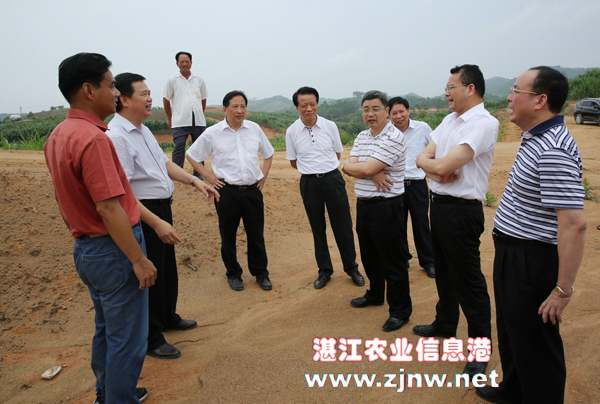 李建华司长一行调研廉江市国家现代农业示范区科技孵化园之一